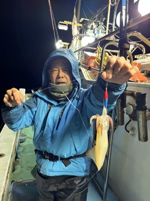 マイカ(ケンサキイカ)