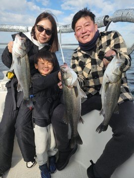 シーバス(スズキ)