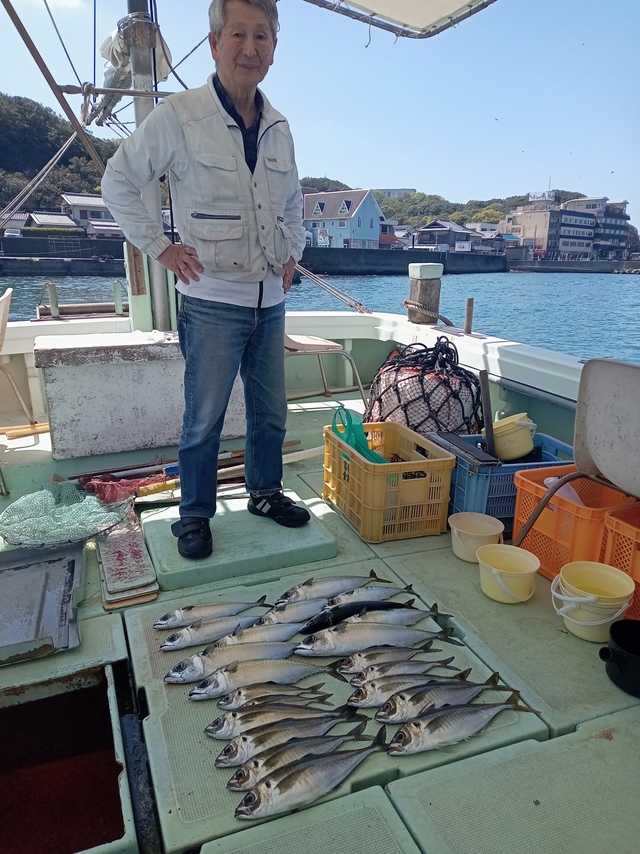 マアジ・サバ(マサバ)