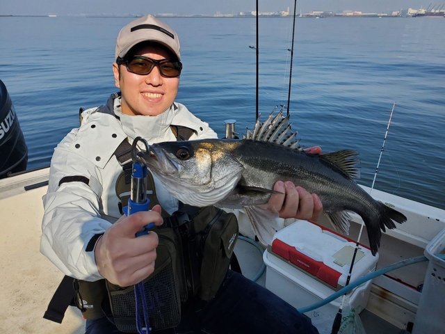 シーバス(スズキ)