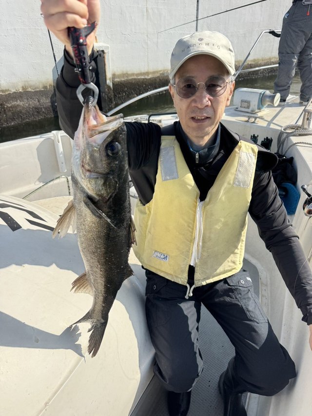 シーバス(スズキ)