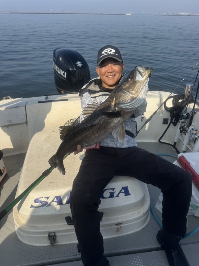 シーバス(スズキ)