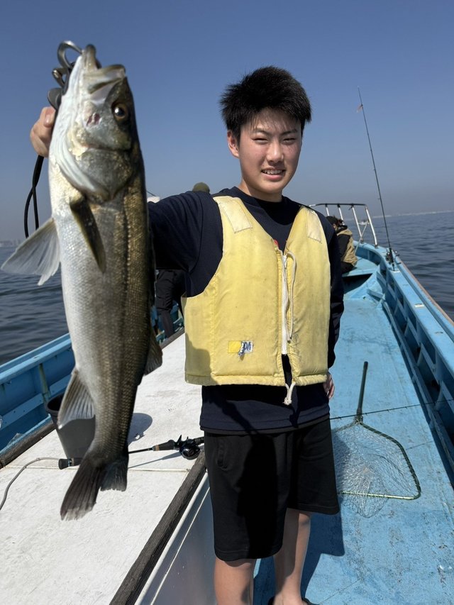 シーバス(スズキ)