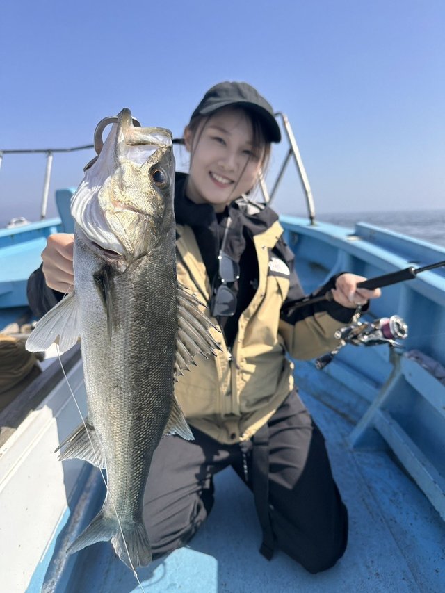 シーバス(スズキ)