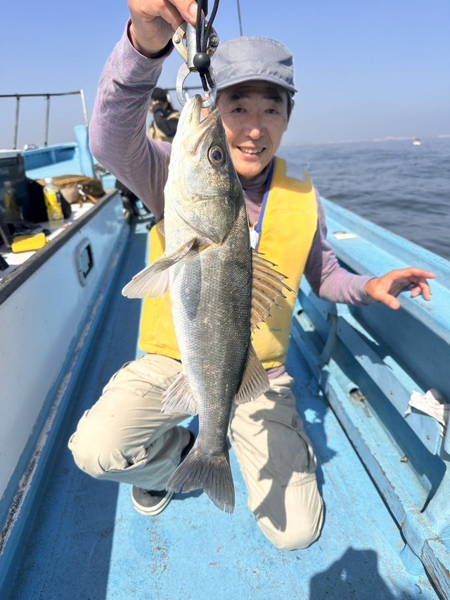 シーバス(スズキ)