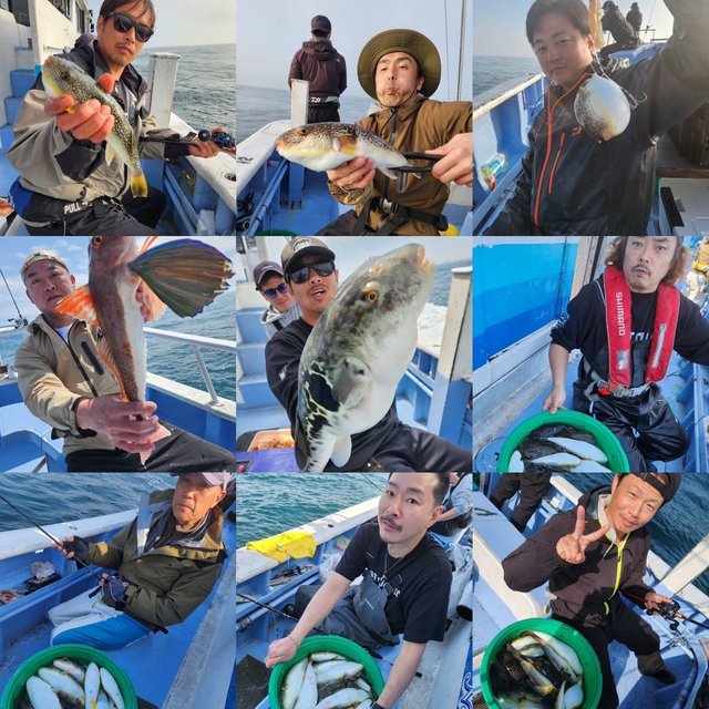 ショウサイフグ