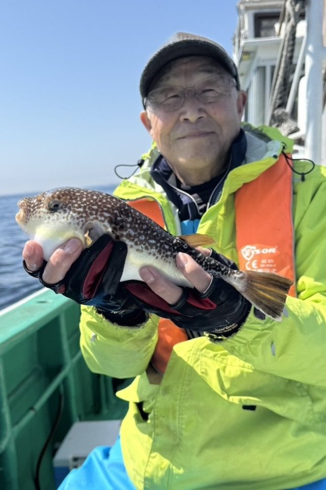 ショウサイフグ