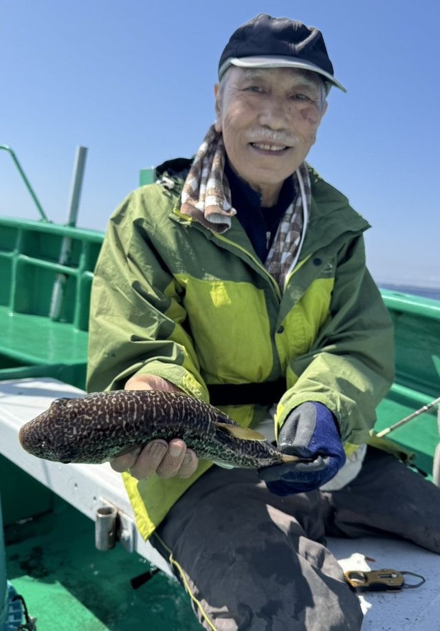 ショウサイフグ