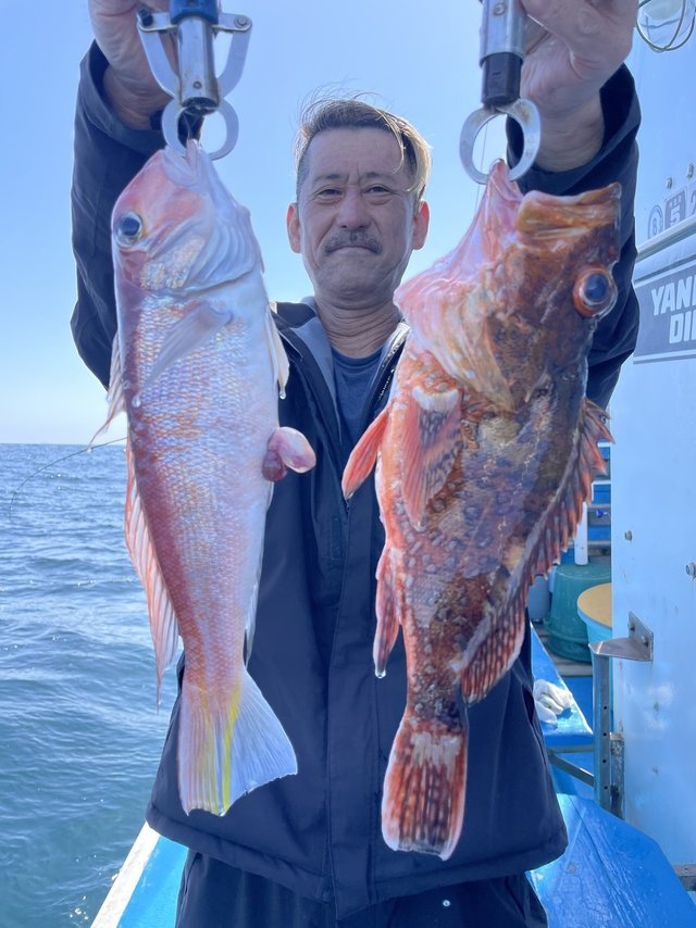 アマダイ(アカアマダイ)・ウッカリカサゴ