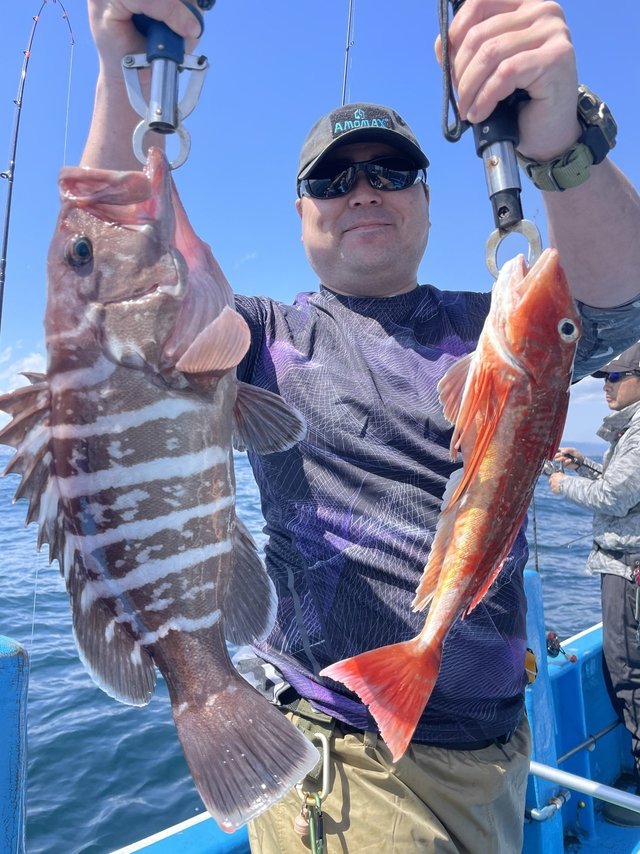 マハタ・ホウボウ