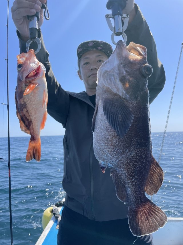 マゾイ(キツネメバル)