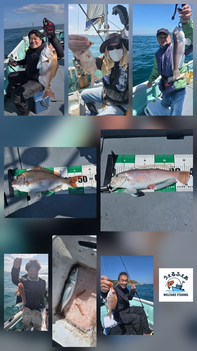 タイ(マダイ)・シロアマダイ・ホウボウ