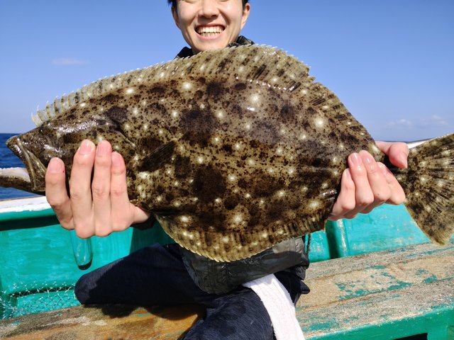 ヒラメ