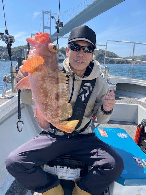 アコウ(キジハタ)