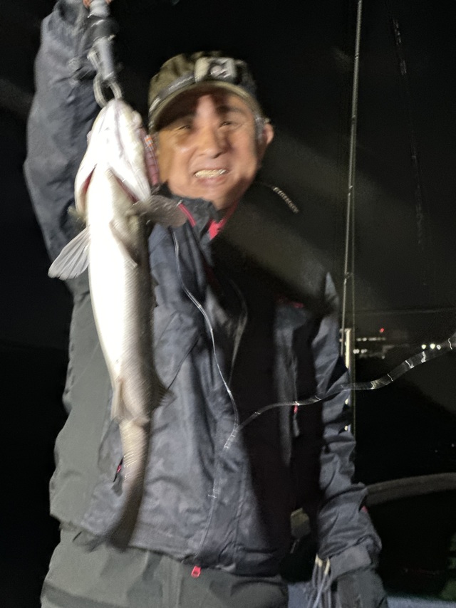 シーバス(スズキ)