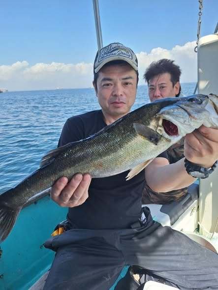 シーバス(スズキ)