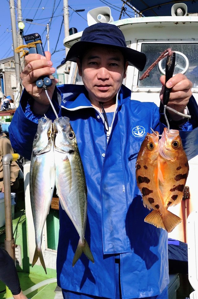 アジ(マアジ)