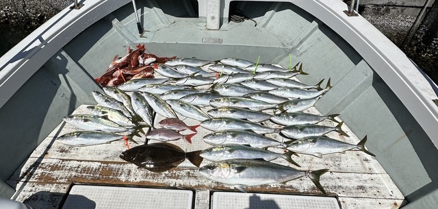 マダイ・イナダ(ブリ)・ワラサ(ブリ)・ホウボウ・カナガシラ・ヒラメ