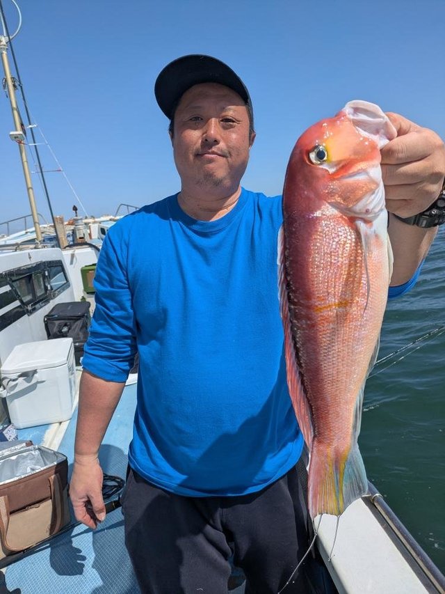 アマダイ(アカアマダイ)