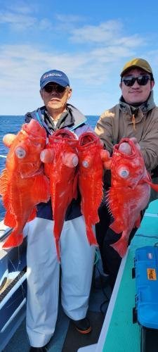 メヌケ(アコウダイ)