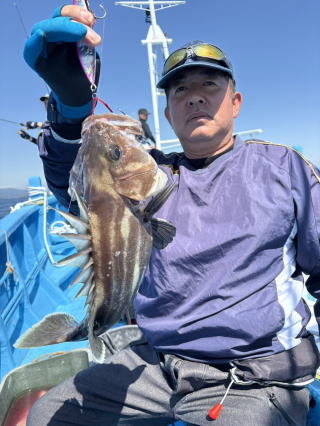 イシナギ(オオクチイシナギ)