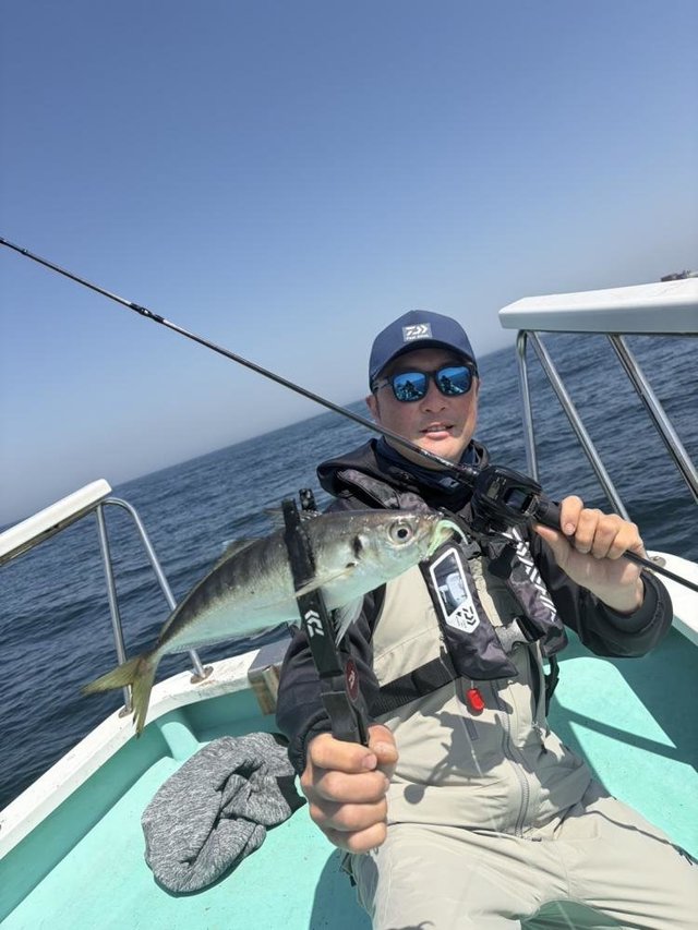 アジ(マアジ)