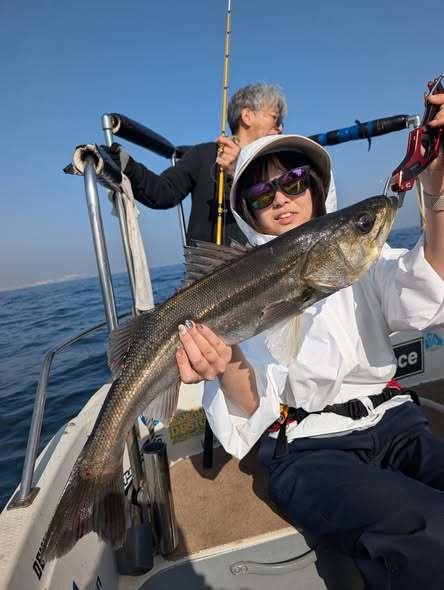 シーバス(スズキ)