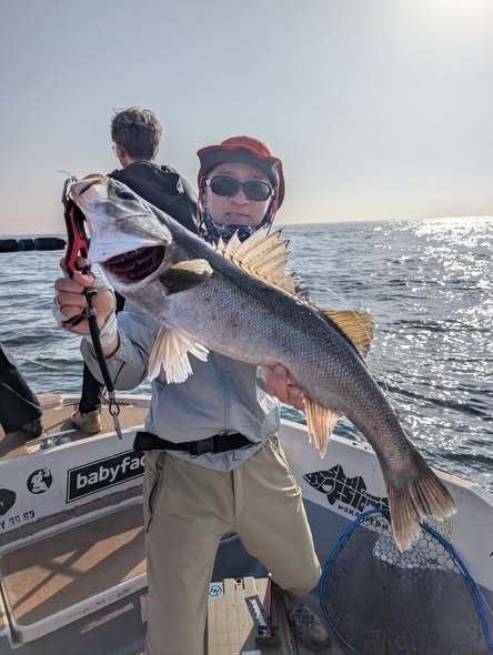 シーバス(スズキ)