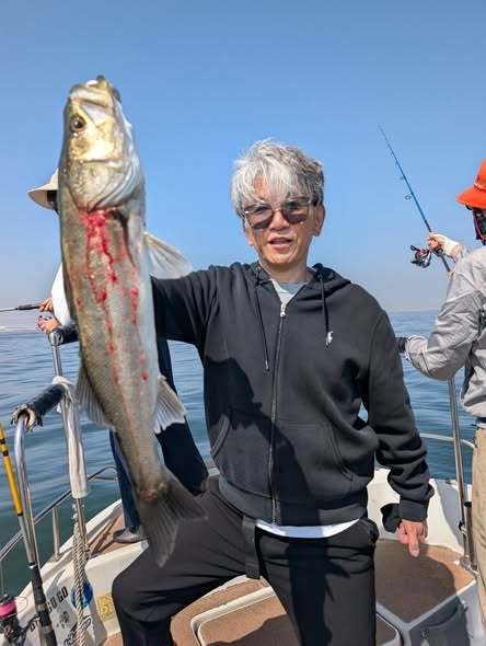 シーバス(スズキ)