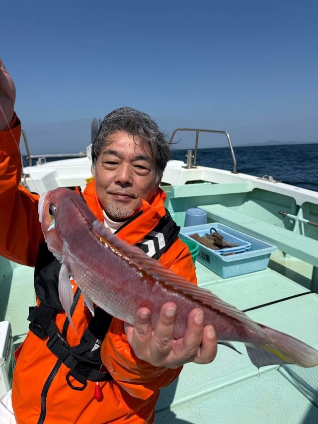 アマダイ(アカアマダイ)