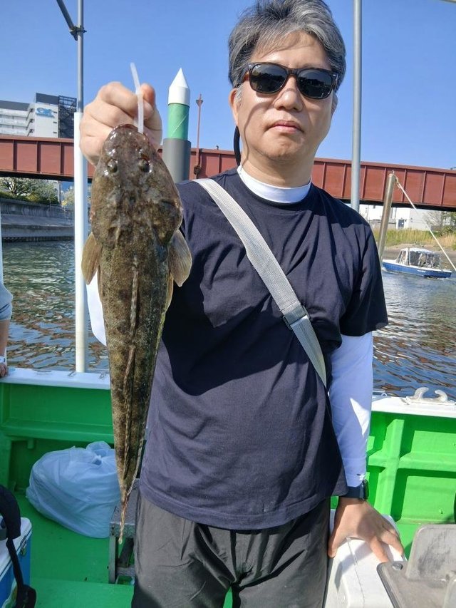 マゴチの釣果写真