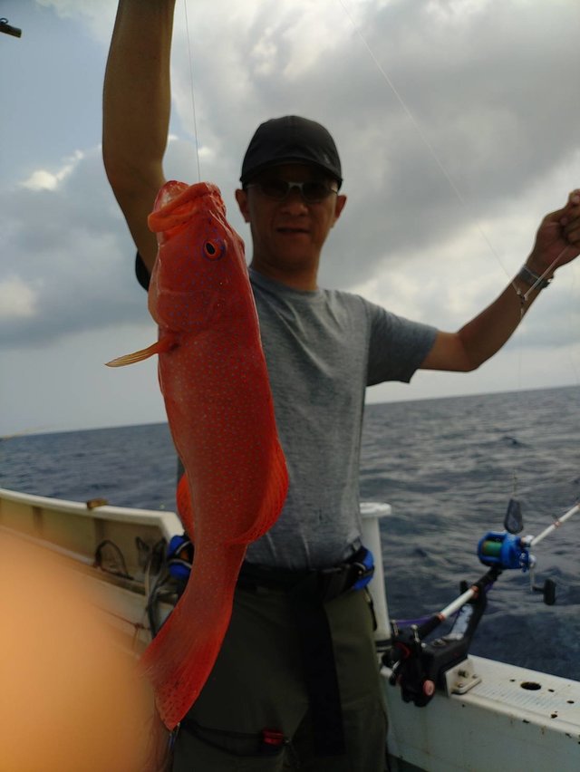 アカジン(スジアラ)