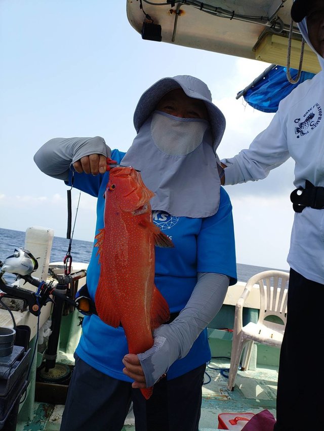 アカジン(スジアラ)