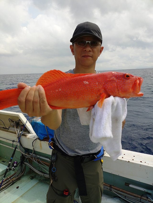 アカジン(スジアラ)