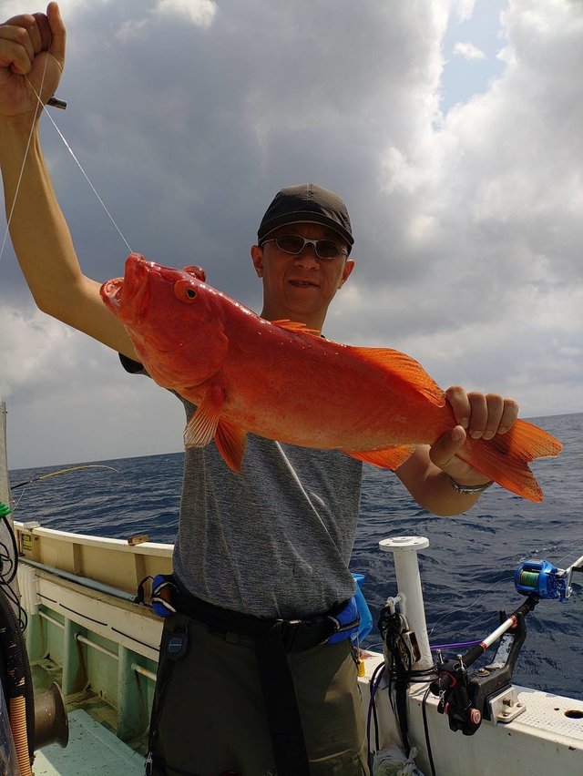 アカジン(スジアラ)