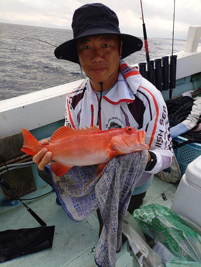 アカジン(スジアラ)