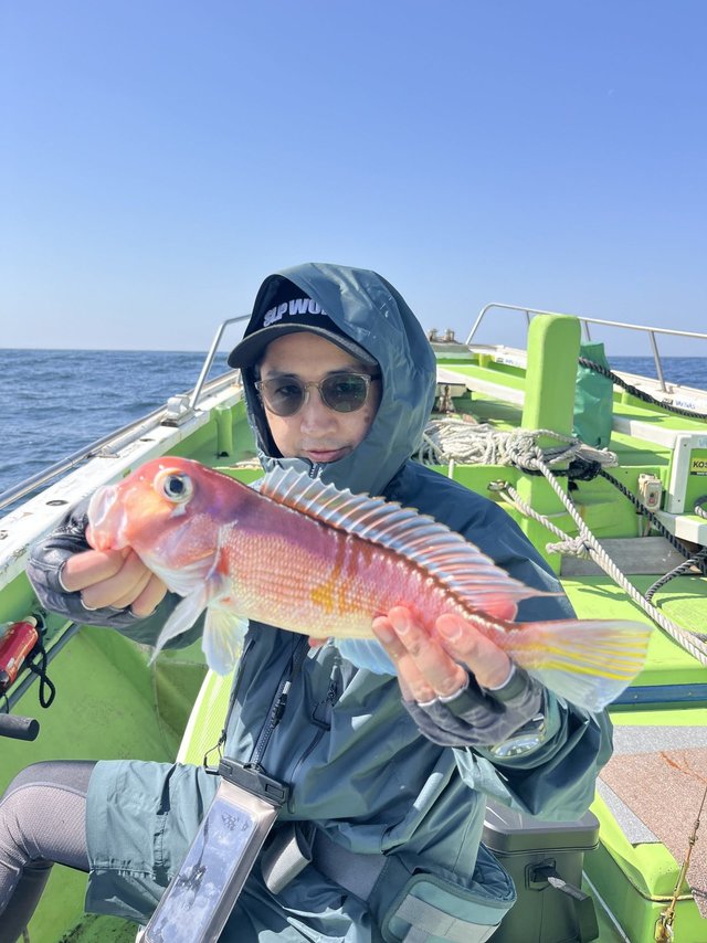 アマダイ(アカアマダイ)