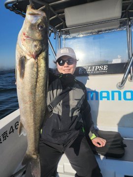 シーバス(スズキ)