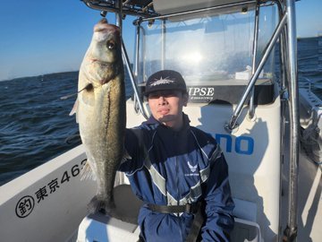 シーバス(スズキ)