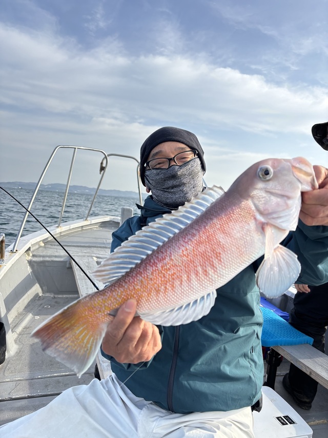 シロアマダイ