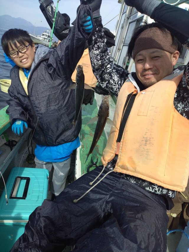 アジ(マアジ)