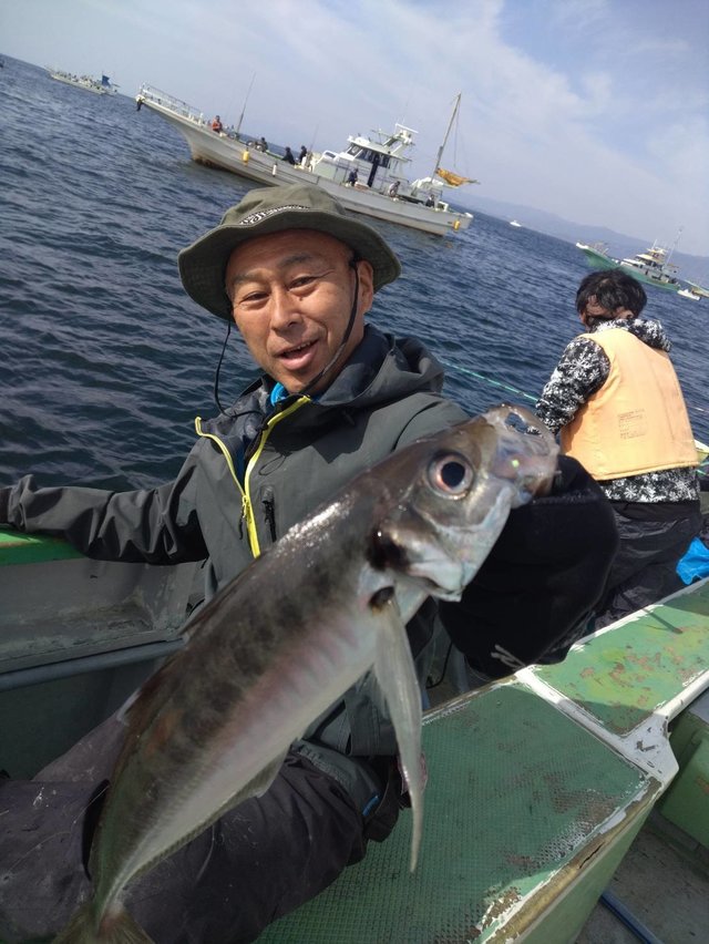 アジ(マアジ)