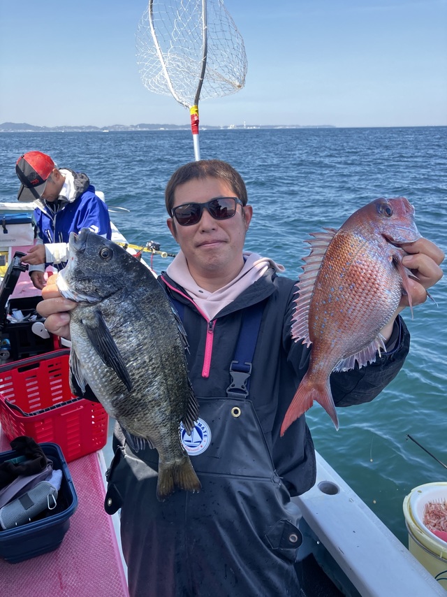 マダイ・クロダイ