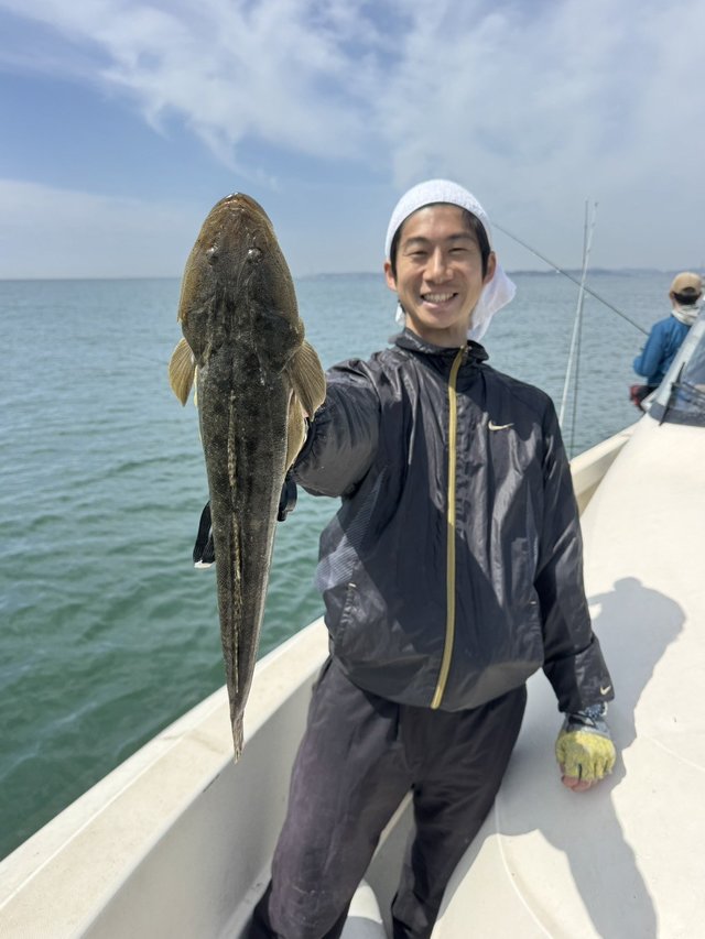 マゴチ