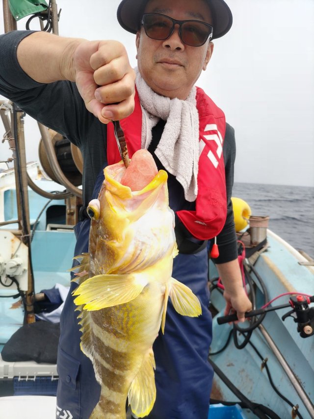 アオハタ