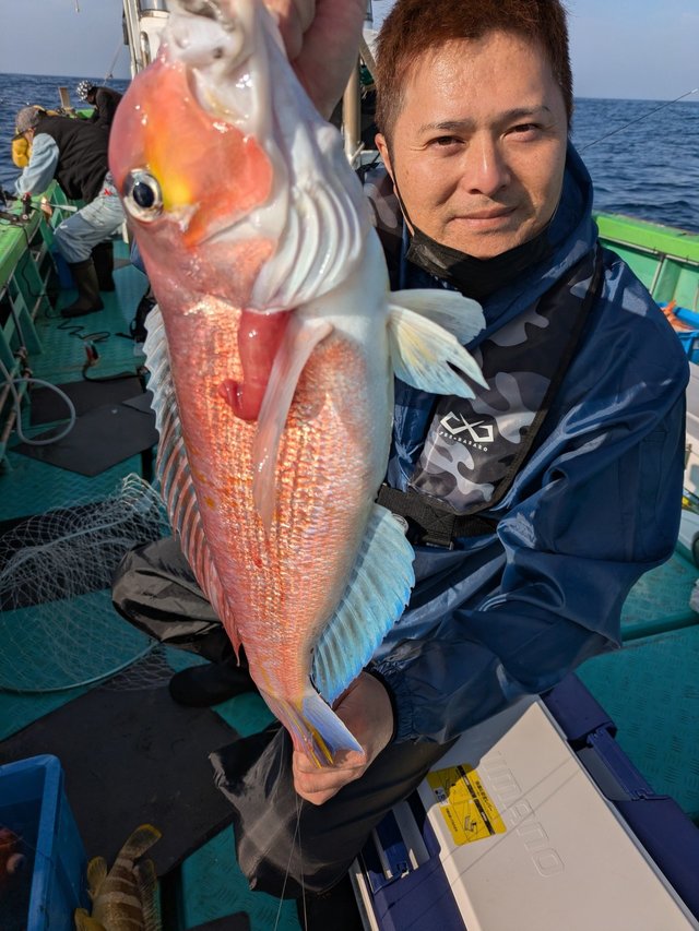 アオハタ