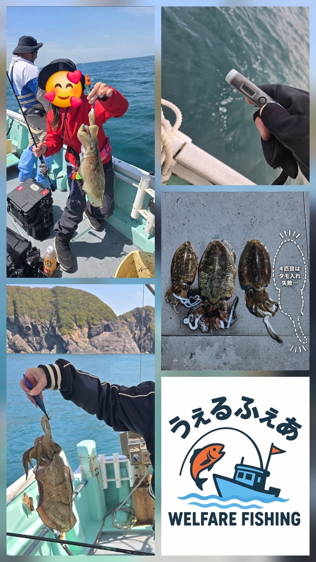 コウイカ
