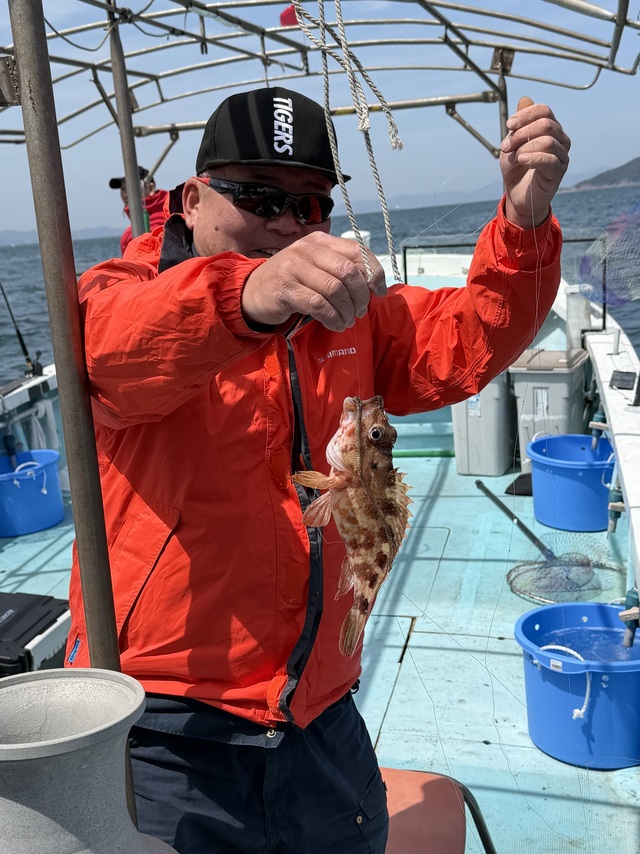 ガシラ(カサゴ)