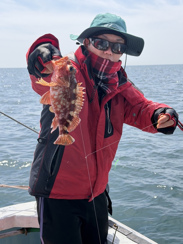 ガシラ(カサゴ)