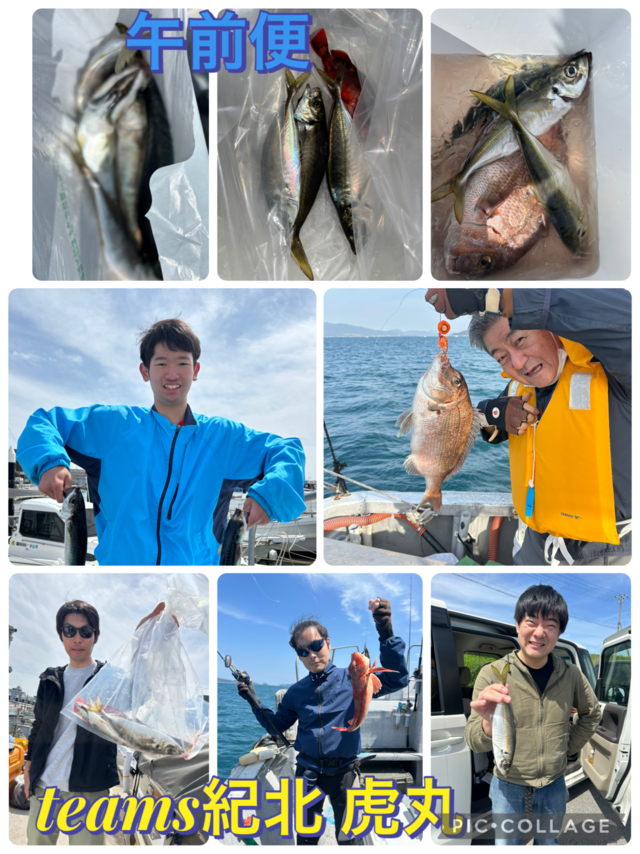 タイ(マダイ)・アジ(マアジ)